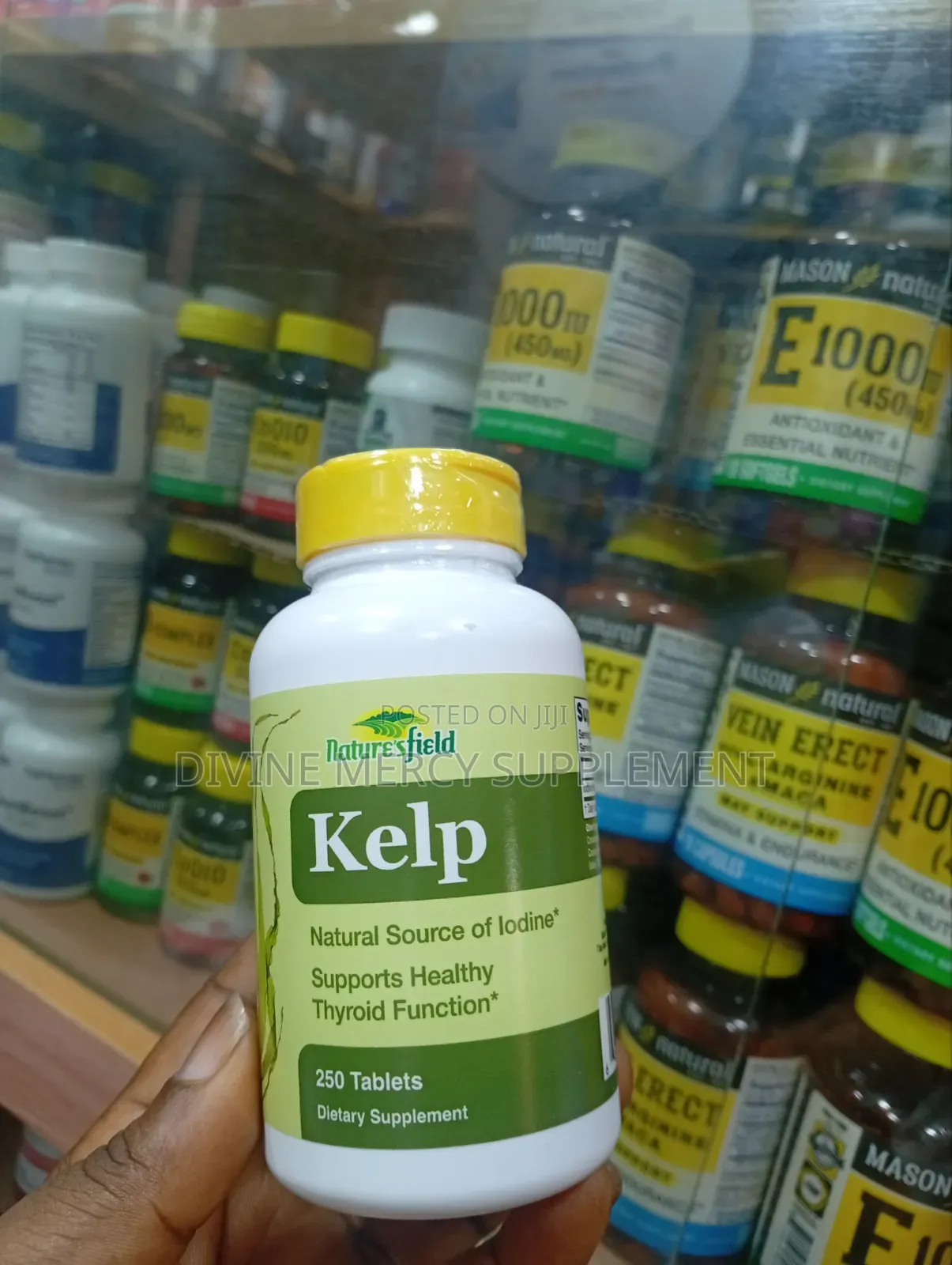 Kelp Natural Source of Iodine