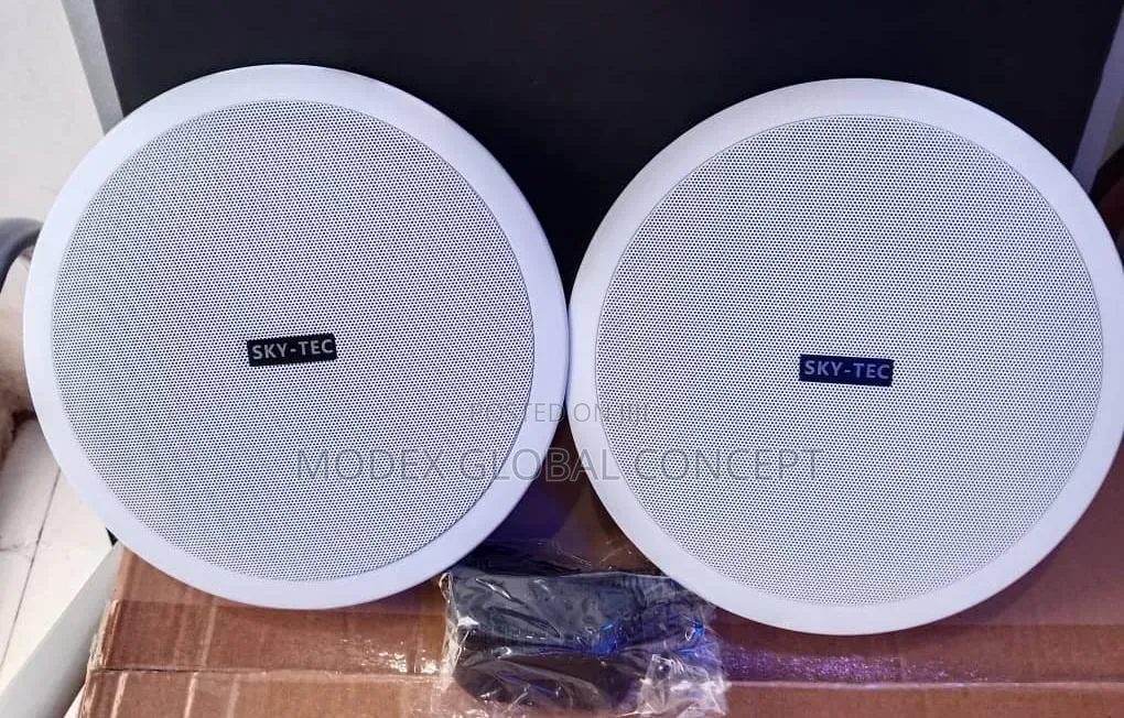 2 in 1 Bluetooth Ceiling Speaker Speaker