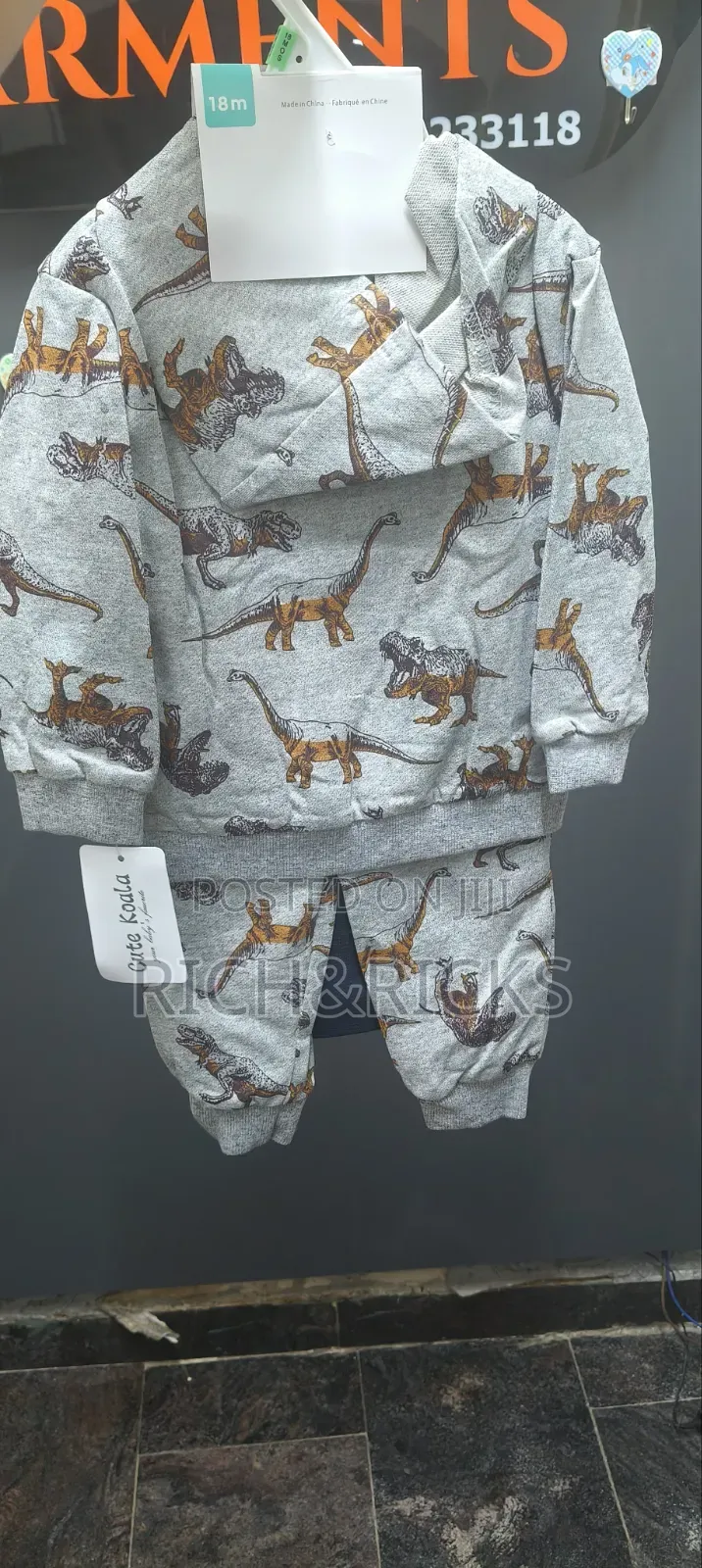 Cute Koala 3-Piece Dinosaur Zip-Up Hoodie, Joggers, Bodysuit Set