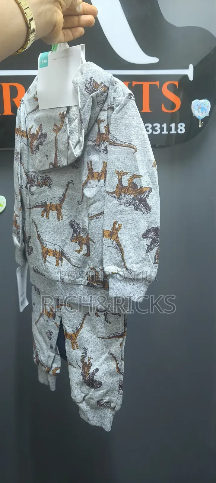 Cute Koala 3-Piece Dinosaur Zip-Up Hoodie, Joggers, Bodysuit Set