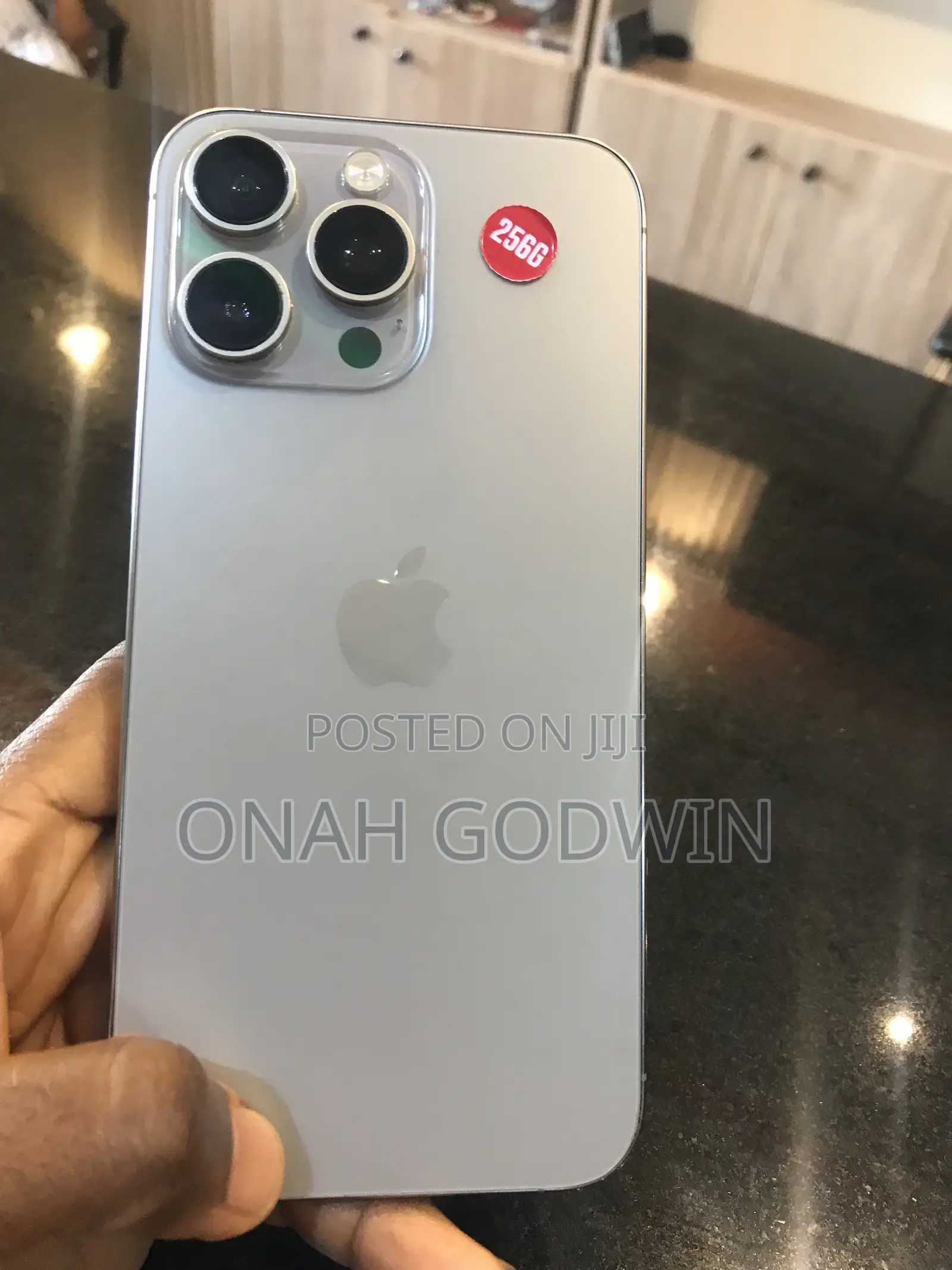 Apple iPhone 13 Pro Max 256 GB Silver