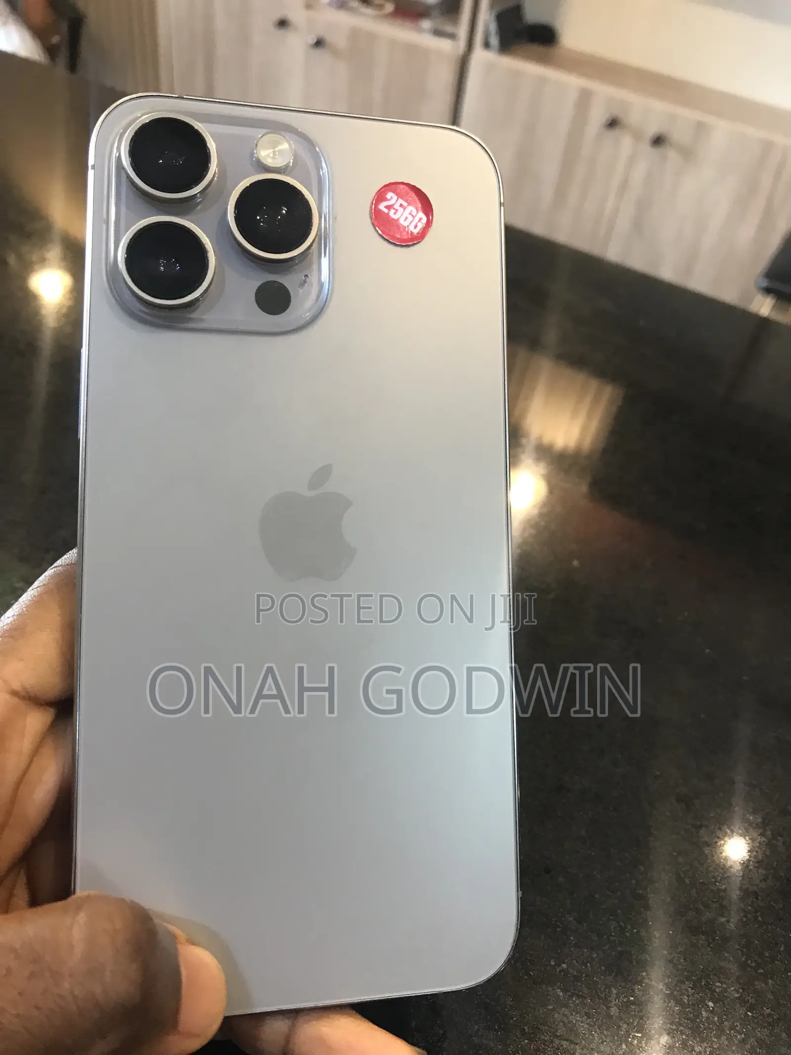 Apple iPhone 13 Pro Max 256 GB Silver