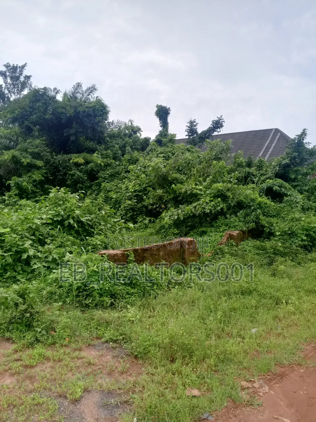 50x200 for Sale Iguadolor
