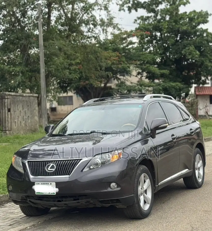 Lexus RX 2011 Gray