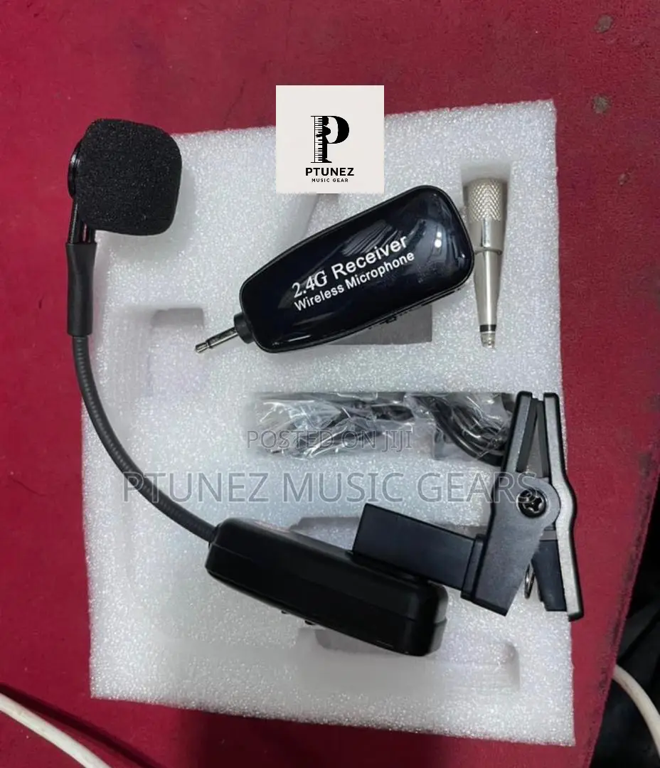 Shure  Saxophone Mic