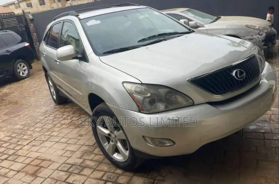 Lexus RX 330 2004 Silver