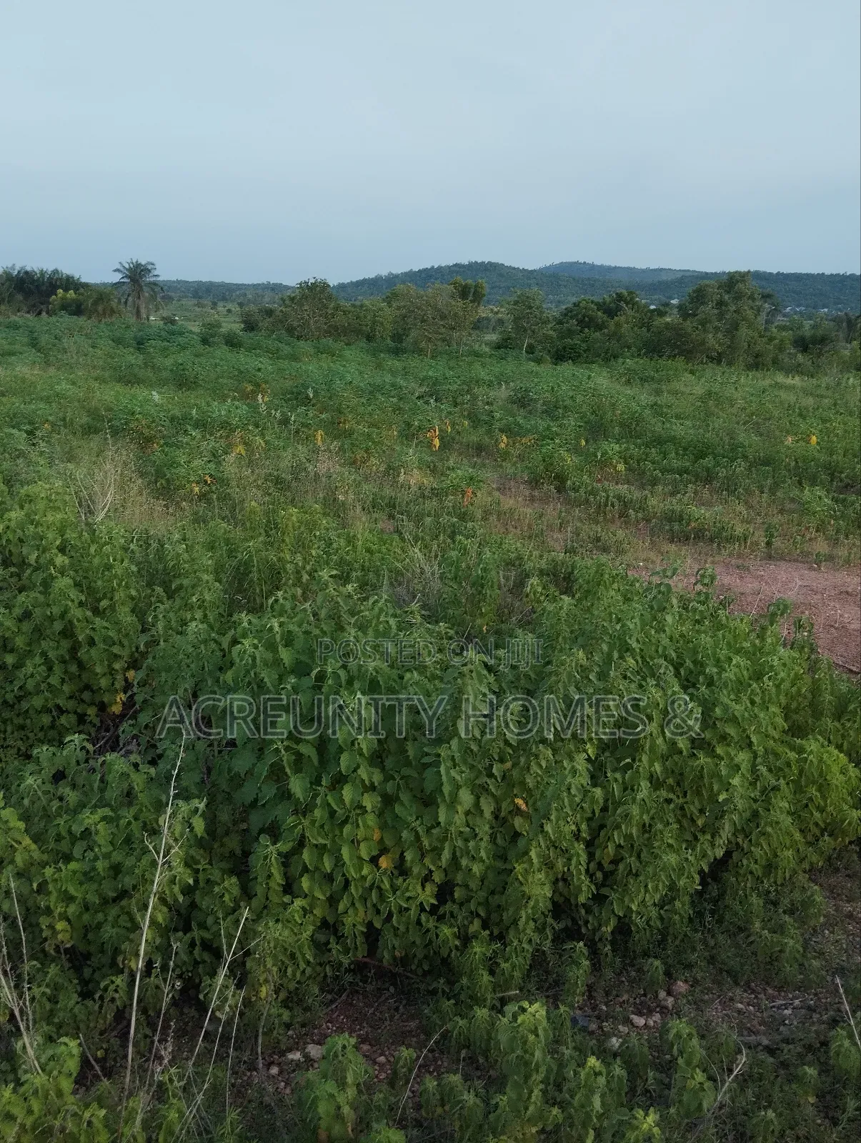 5 Acres of Land for Sale Off Sirafu Road Along Igunrin, Iseyin