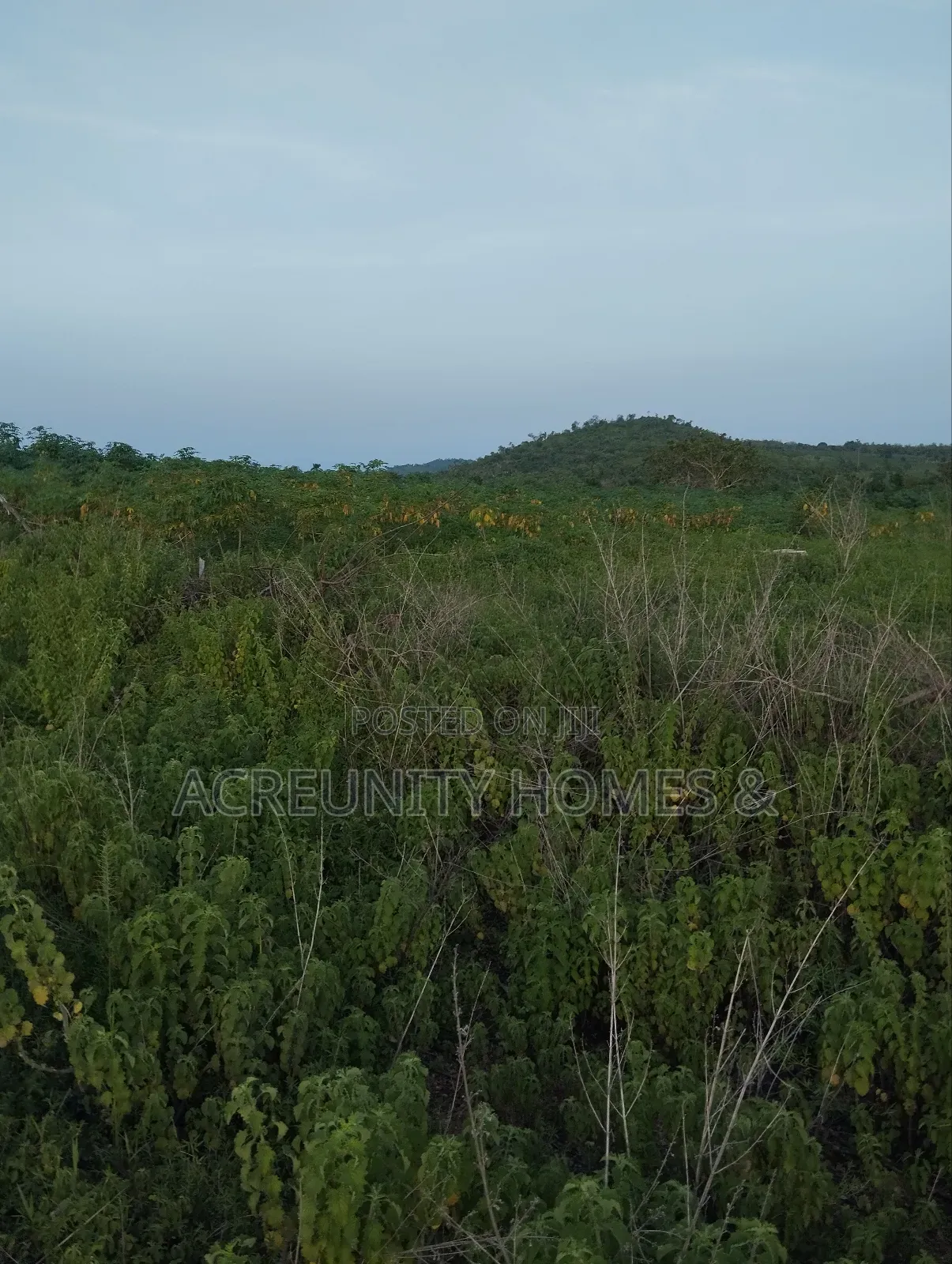 5 Acres of Land for Sale Off Sirafu Road Along Igunrin, Iseyin
