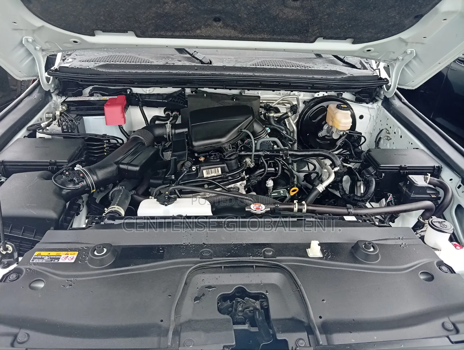 Toyota Land Cruiser Prado 2024 White