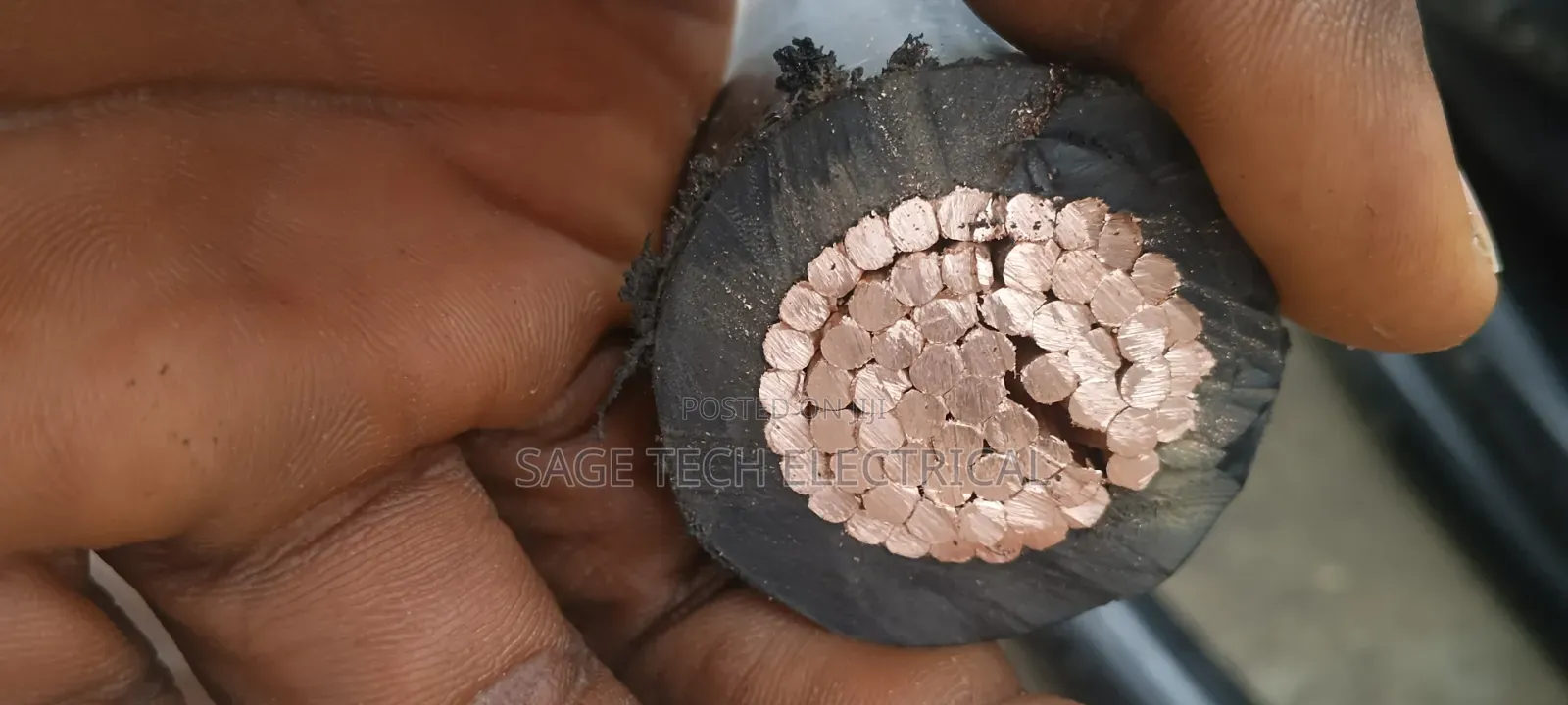 500mm Single Coleman PVC PVC Armoured Cable