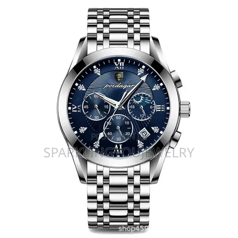 High Quality Poedagar Watch With Working Chronograph for Men