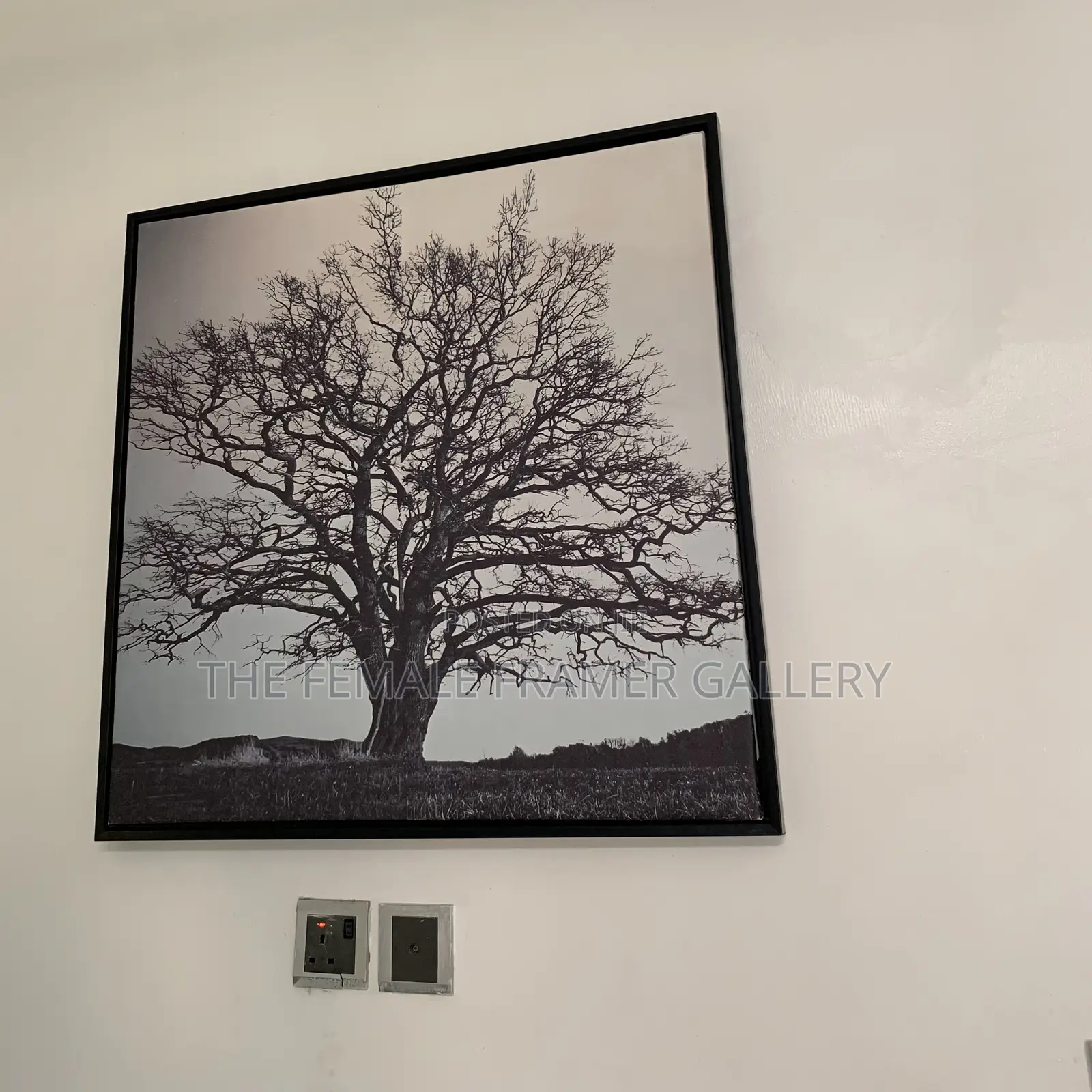 Canvas in a Frame