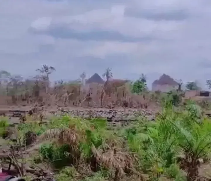 50x100sq-meter: Land For Sale At Asaba