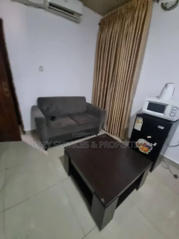 Furnished Mini Flat in Lekki Phase One for rent
