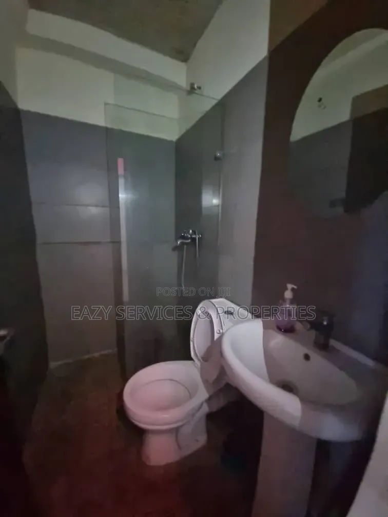 Furnished Mini Flat in Lekki Phase One for rent