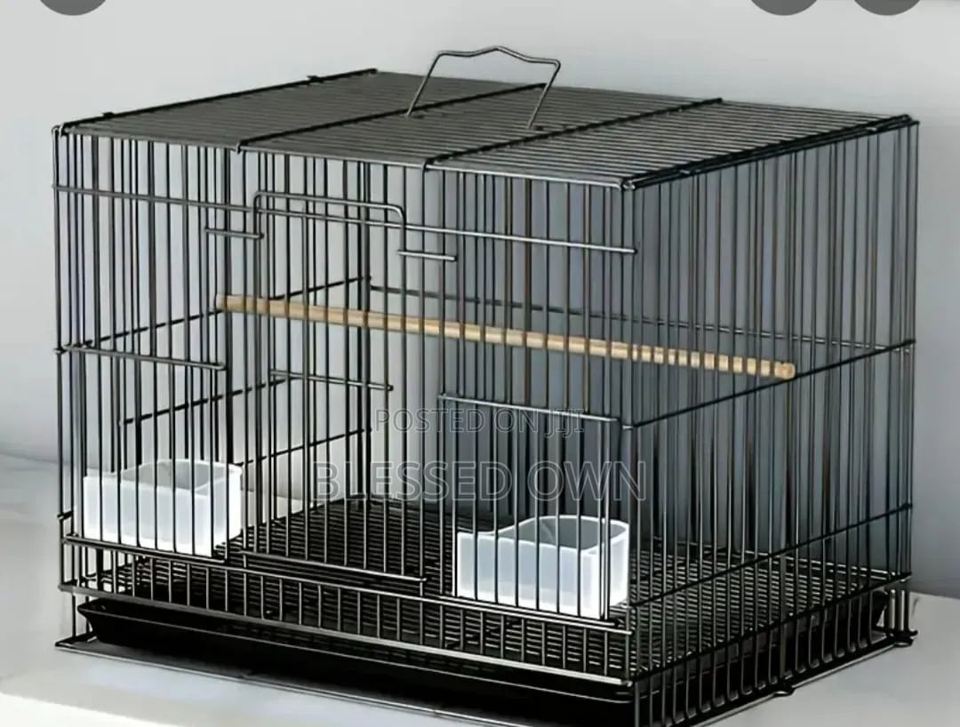 Bird Cage for All Parrots