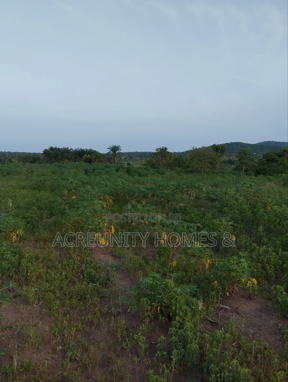 30 Acres Is Available at Sirafu Along Iseyin Ibadan Express Road