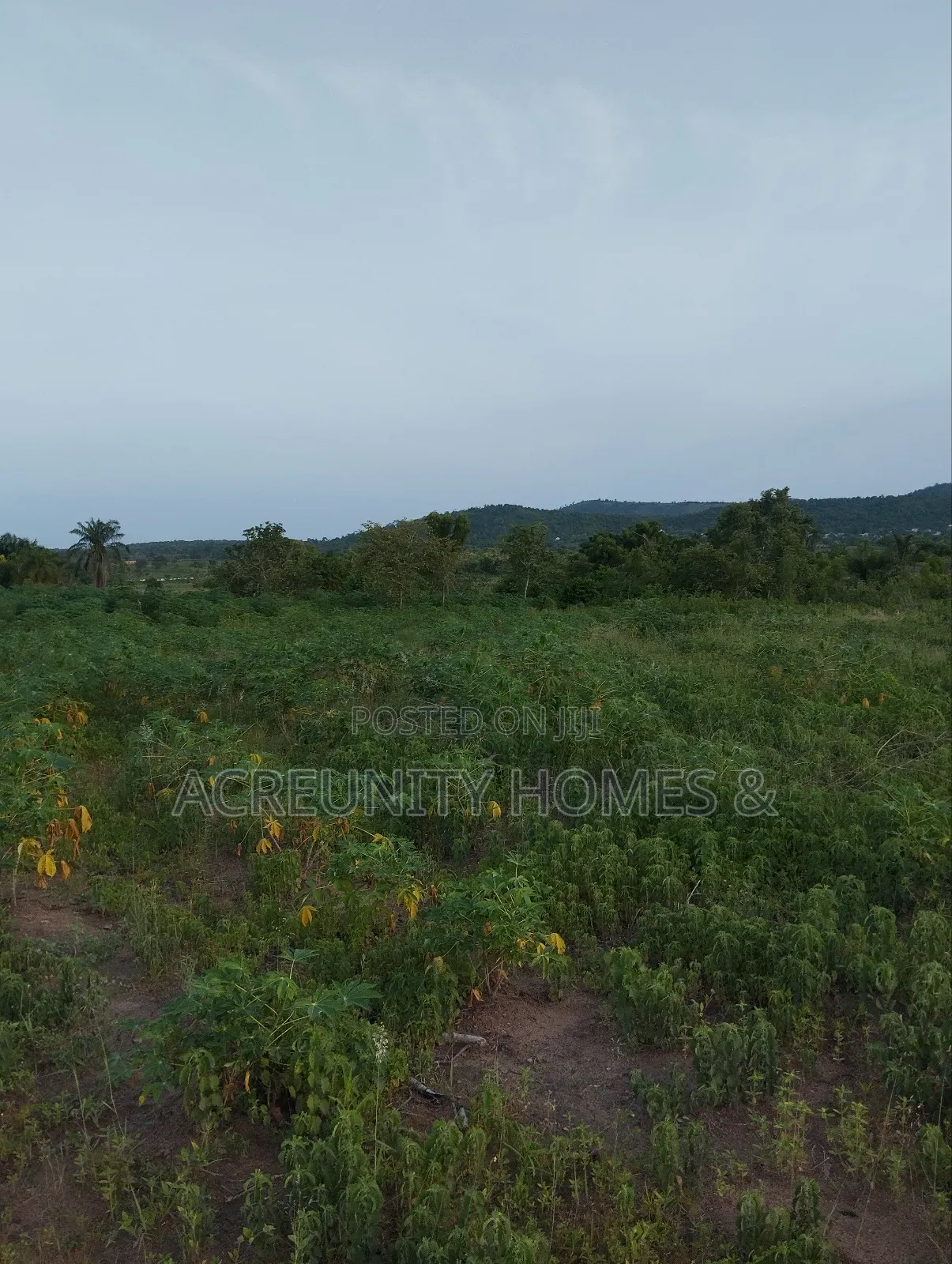 30 Acres Is Available at Sirafu Along Iseyin Ibadan Express Road