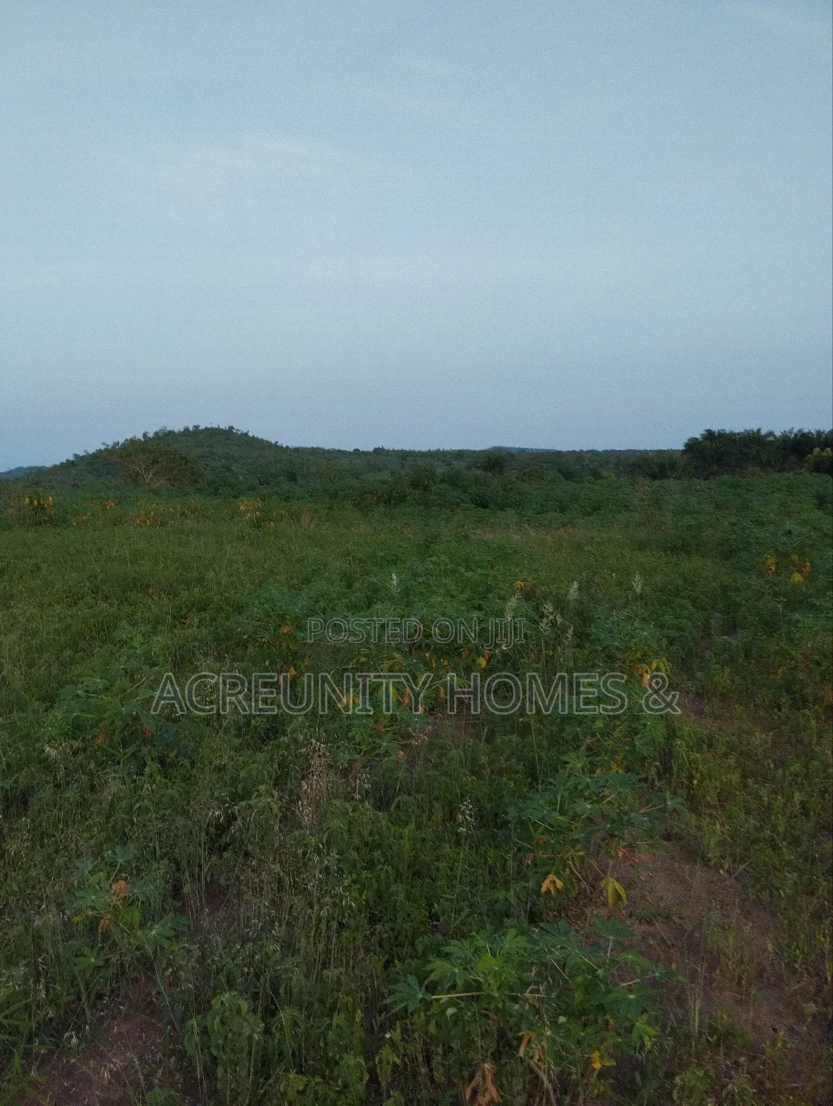 30 Acres Is Available at Sirafu Along Iseyin Ibadan Express Road