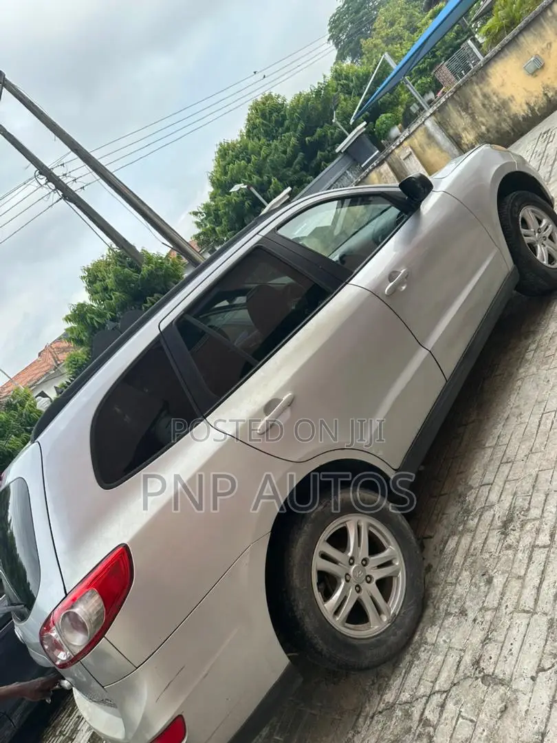 Hyundai Santa Fe 2010 Silver