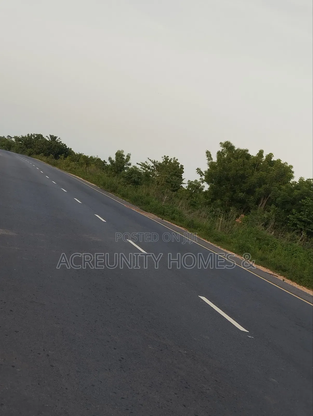 110 Acres of Fertile Farmland – Waasimi, Iseyin Local Govt, Oyo State
