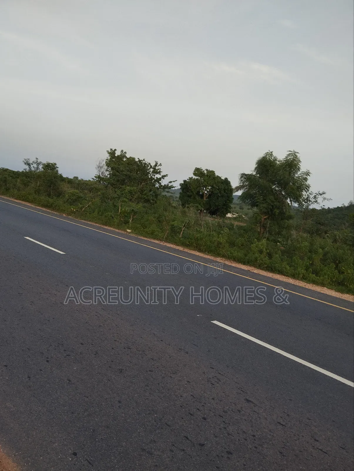 110 Acres of Fertile Farmland – Waasimi, Iseyin Local Govt, Oyo State