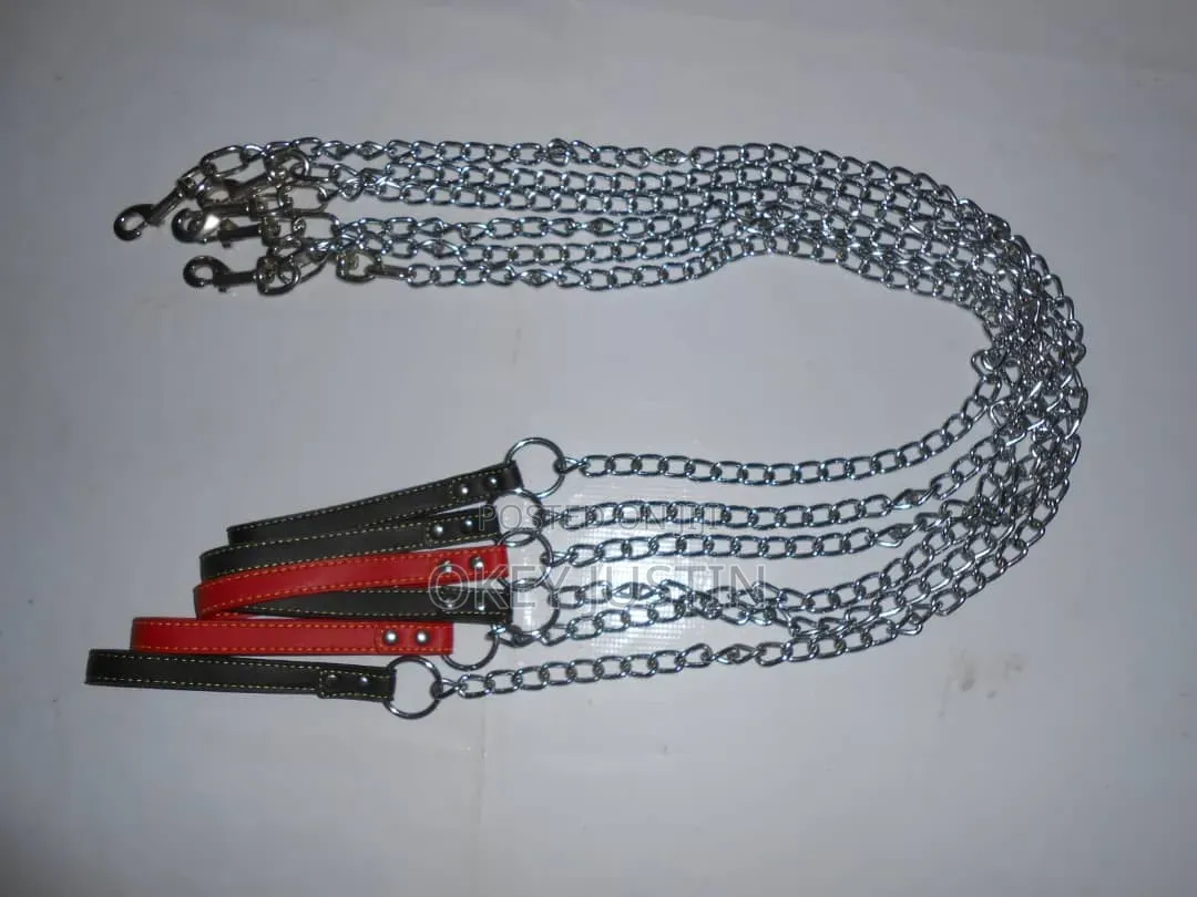 Dog Leash (Different Sizes)