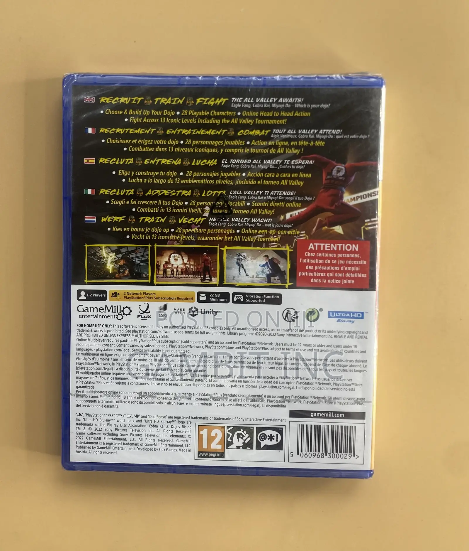 Ps5 Cobra Kai Dojos Rising