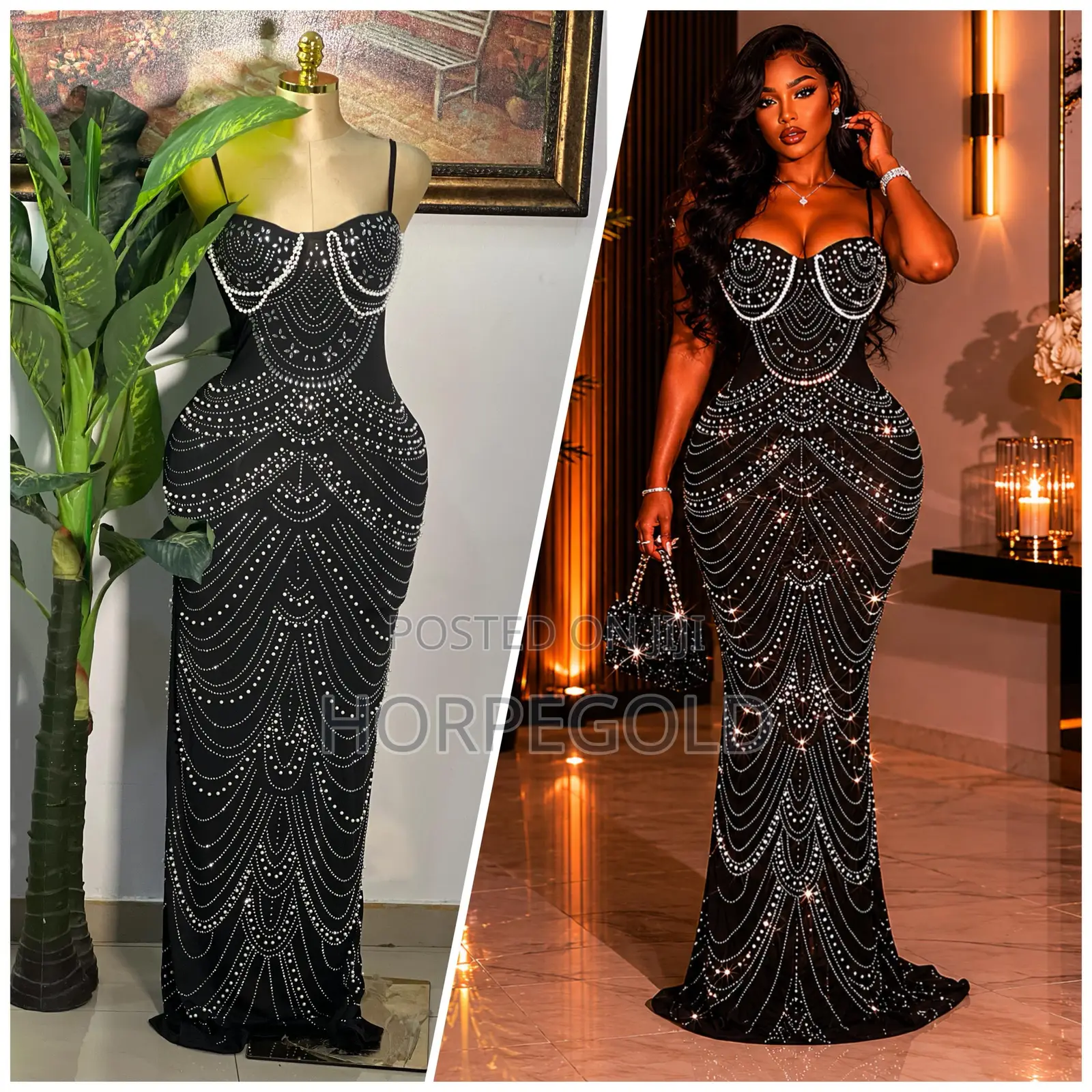Long Beautiful Gown