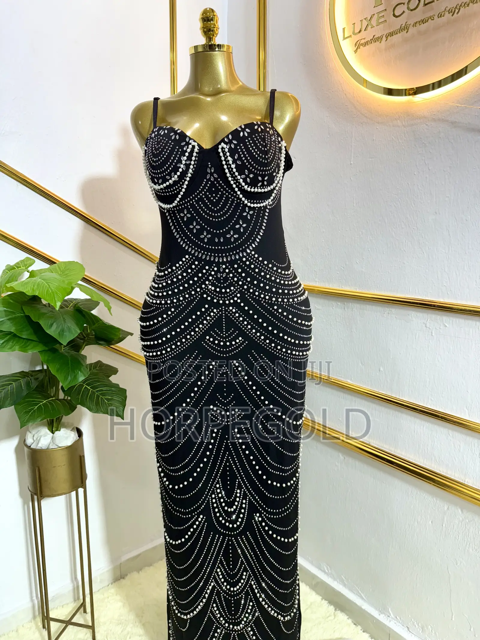 Long Beautiful Gown
