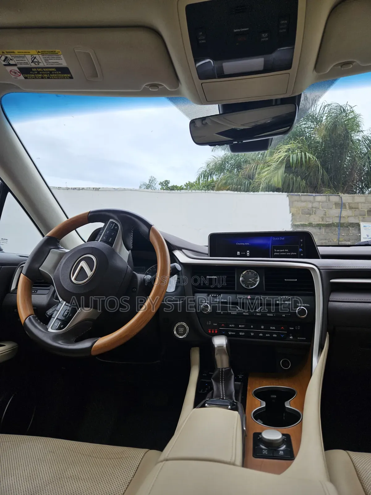 Lexus RX 2019 Black
