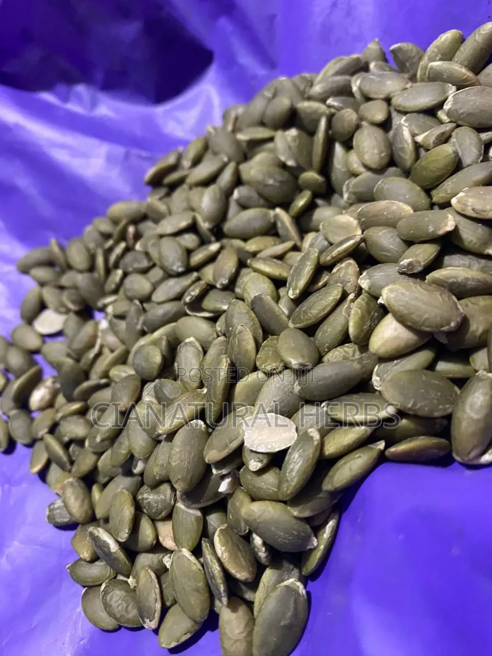 Pumpkin Seeds
