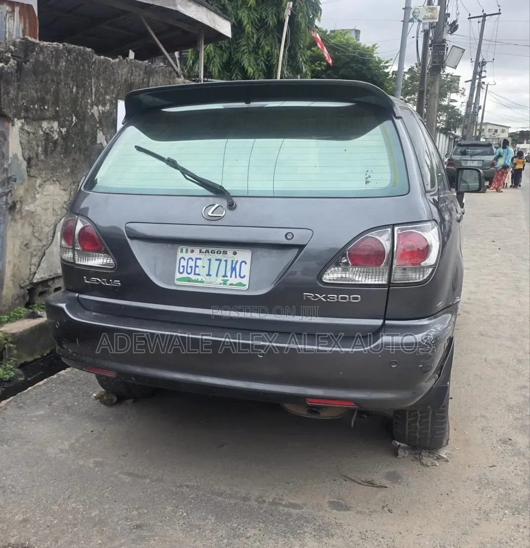 Lexus RX 2002 Gray