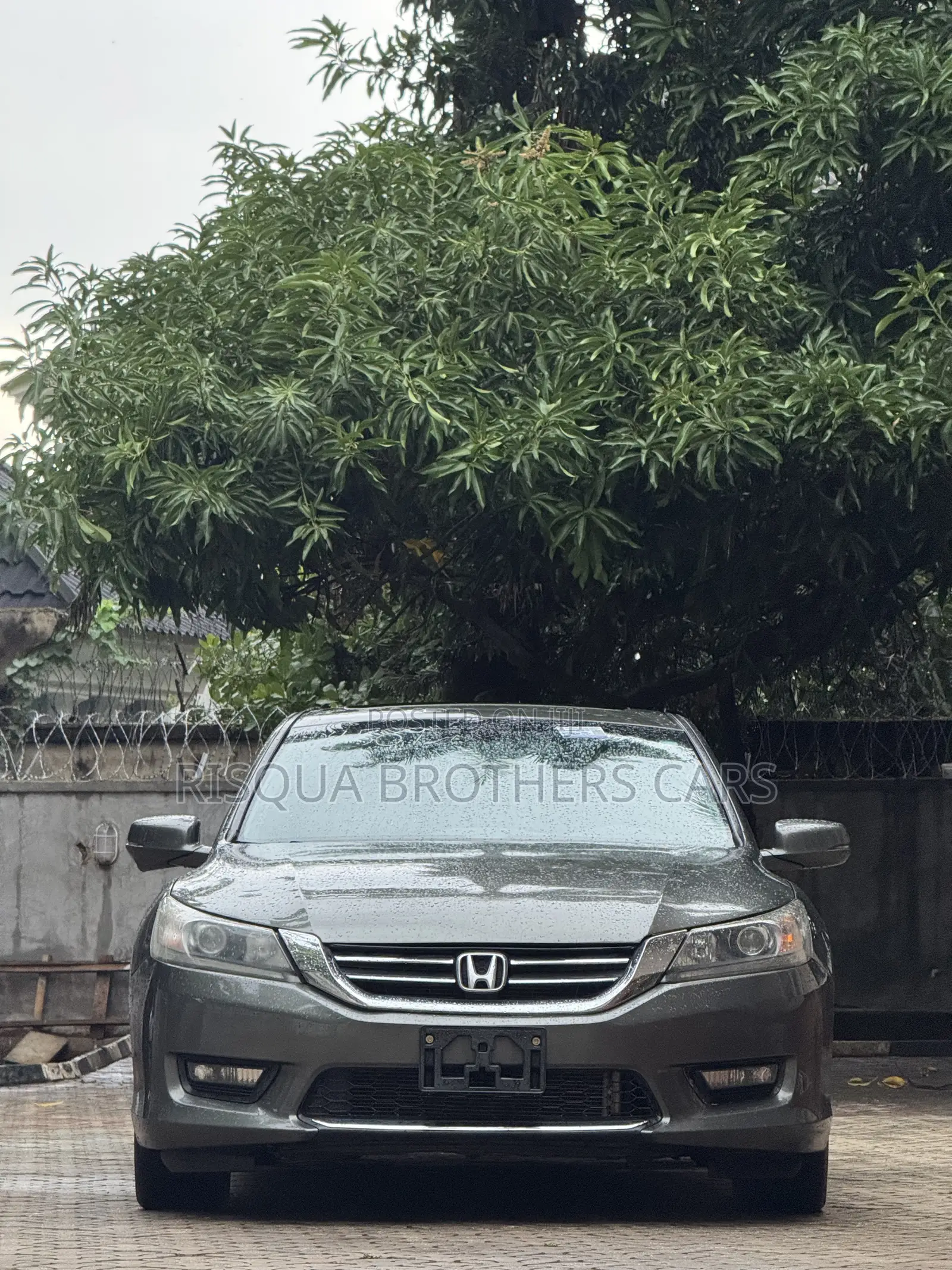Honda Accord EX-L 4dr Sedan (2.4L 4cyl CVT) 2014 Gray