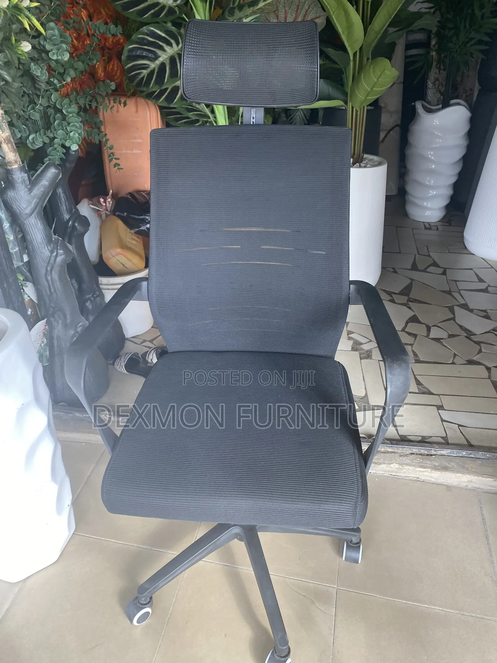Imported Argronomic Chair