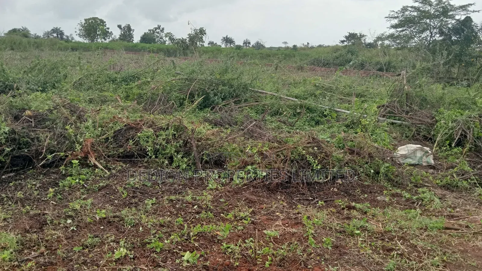Moniya Ibadan Land With Registered Survey and Deed of Assignment