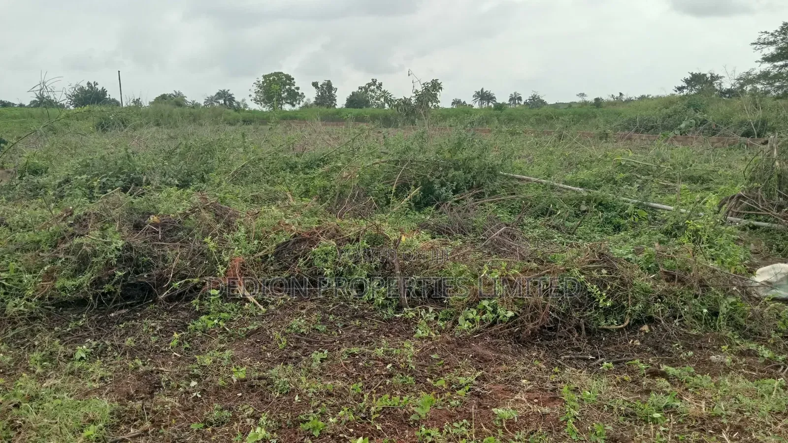 Moniya Ibadan Land With Registered Survey and Deed of Assignment