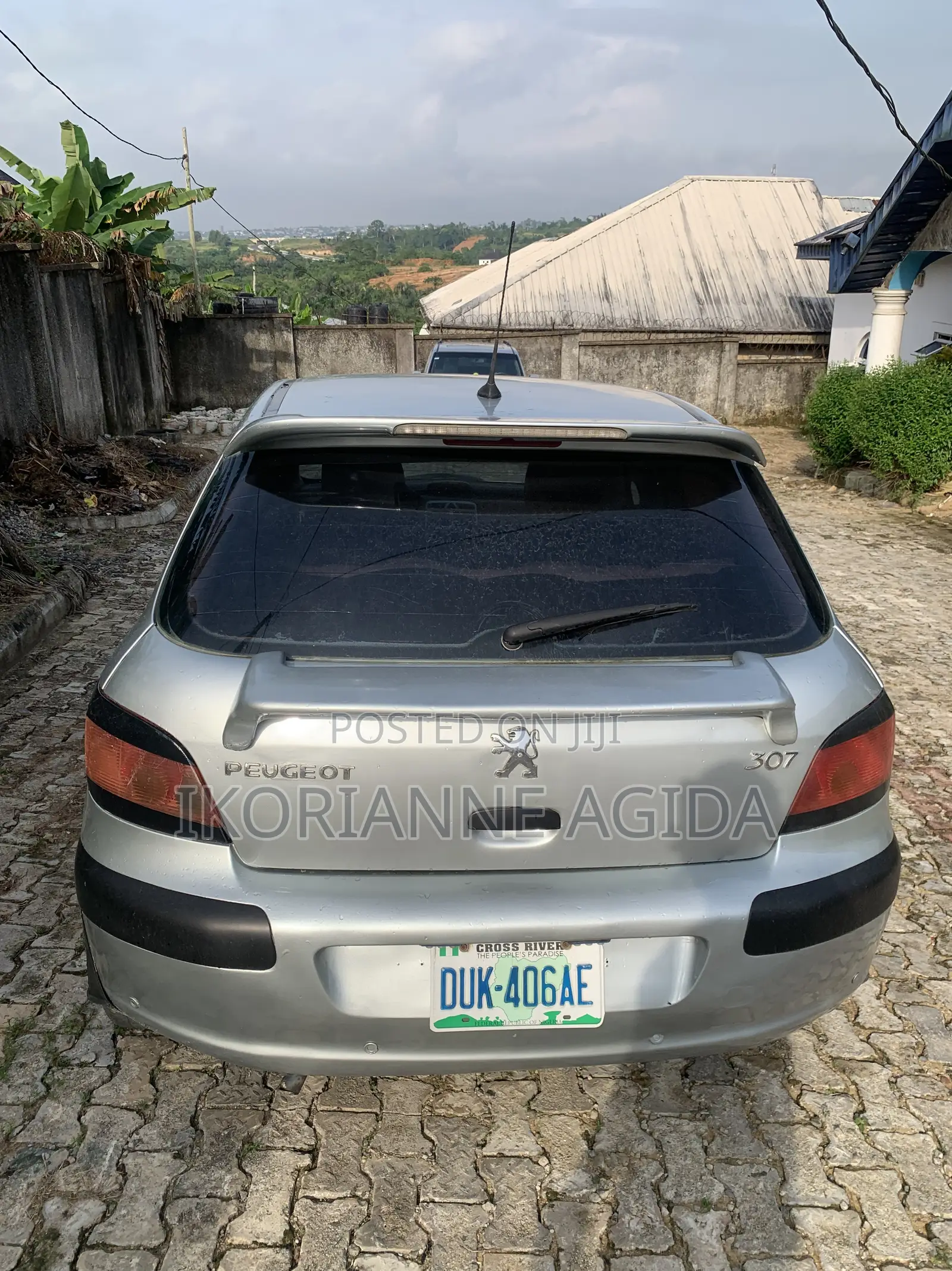 Peugeot 307 2005 Silver