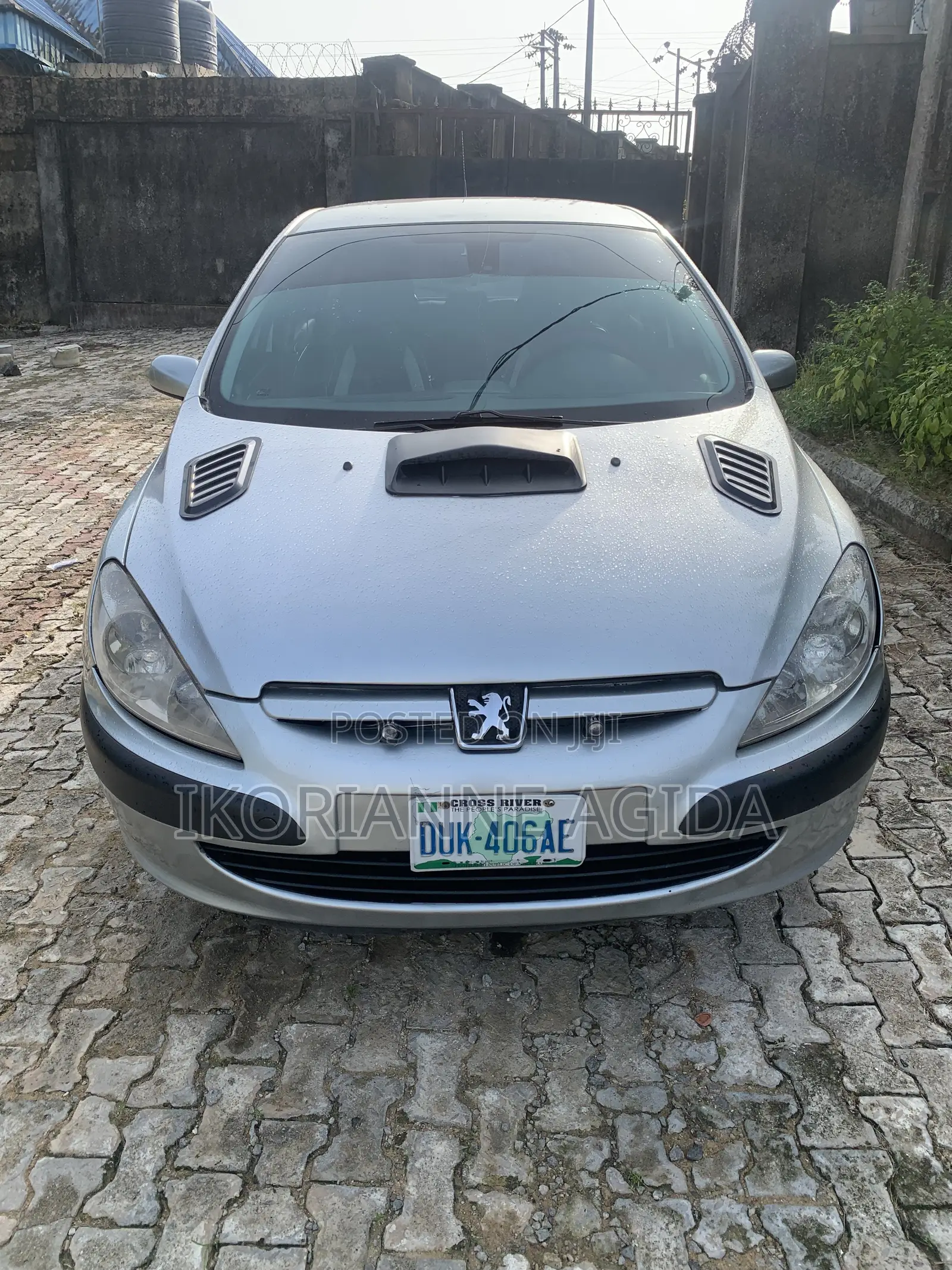 Peugeot 307 2005 Silver