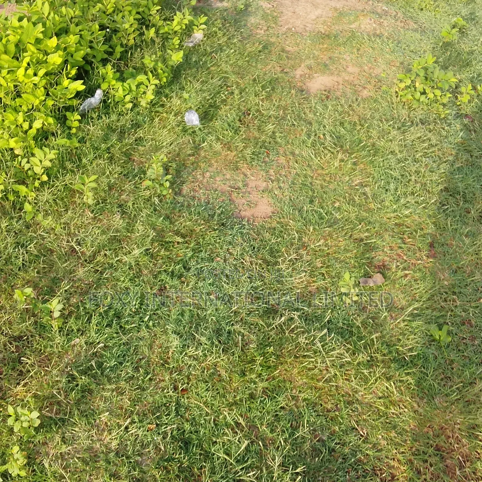 Jahi 5459.56 SQM Multi Purpose Land