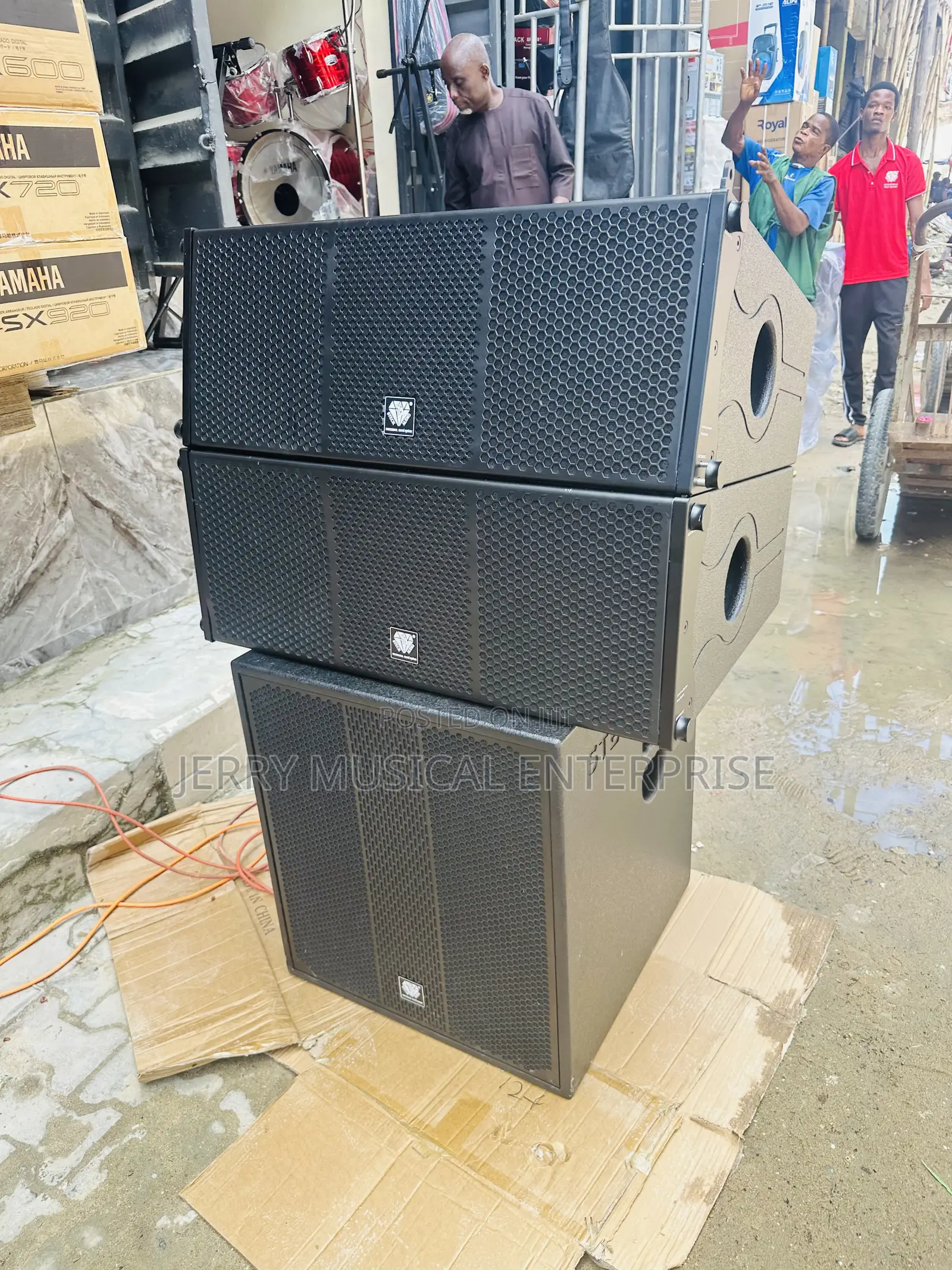 Steck Audio 10inches Line Arry With Single Subwoofer