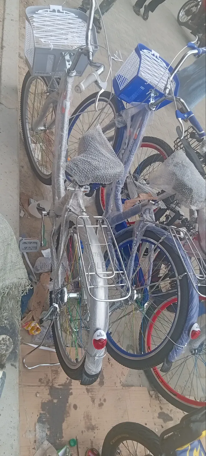 Adult Bicycle