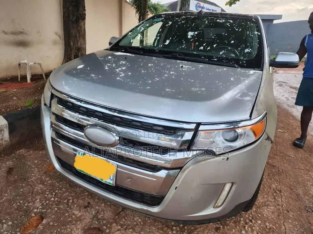Ford Edge 2014 Silver