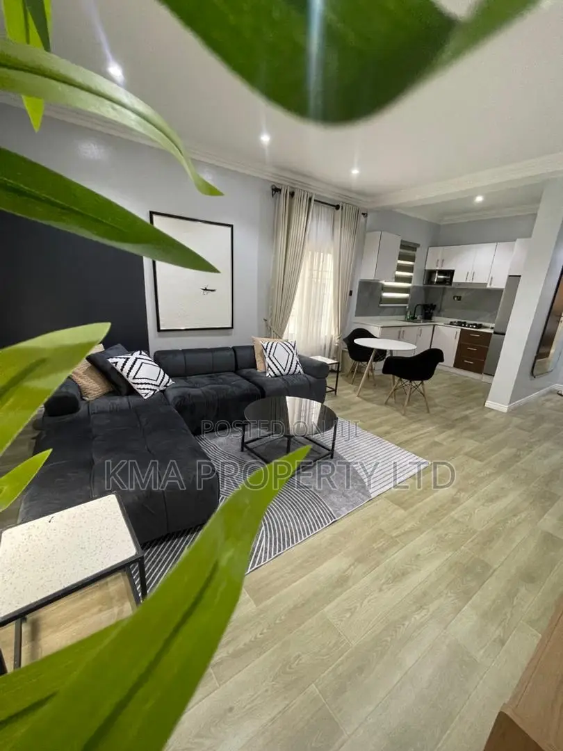 Luxurious 1/2 Bedroom Apartment With Swimming Pool