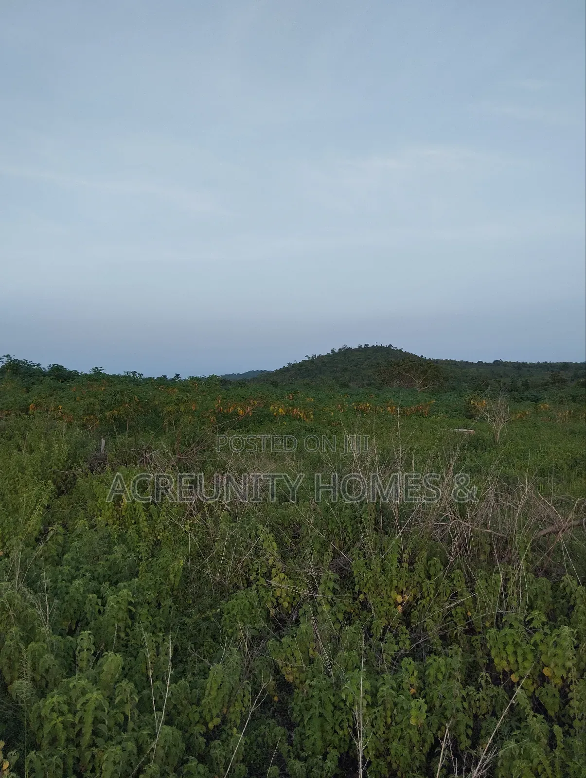 20 Acres of Land Available for Sale, Iseyin-Ogbomoso Express Way
