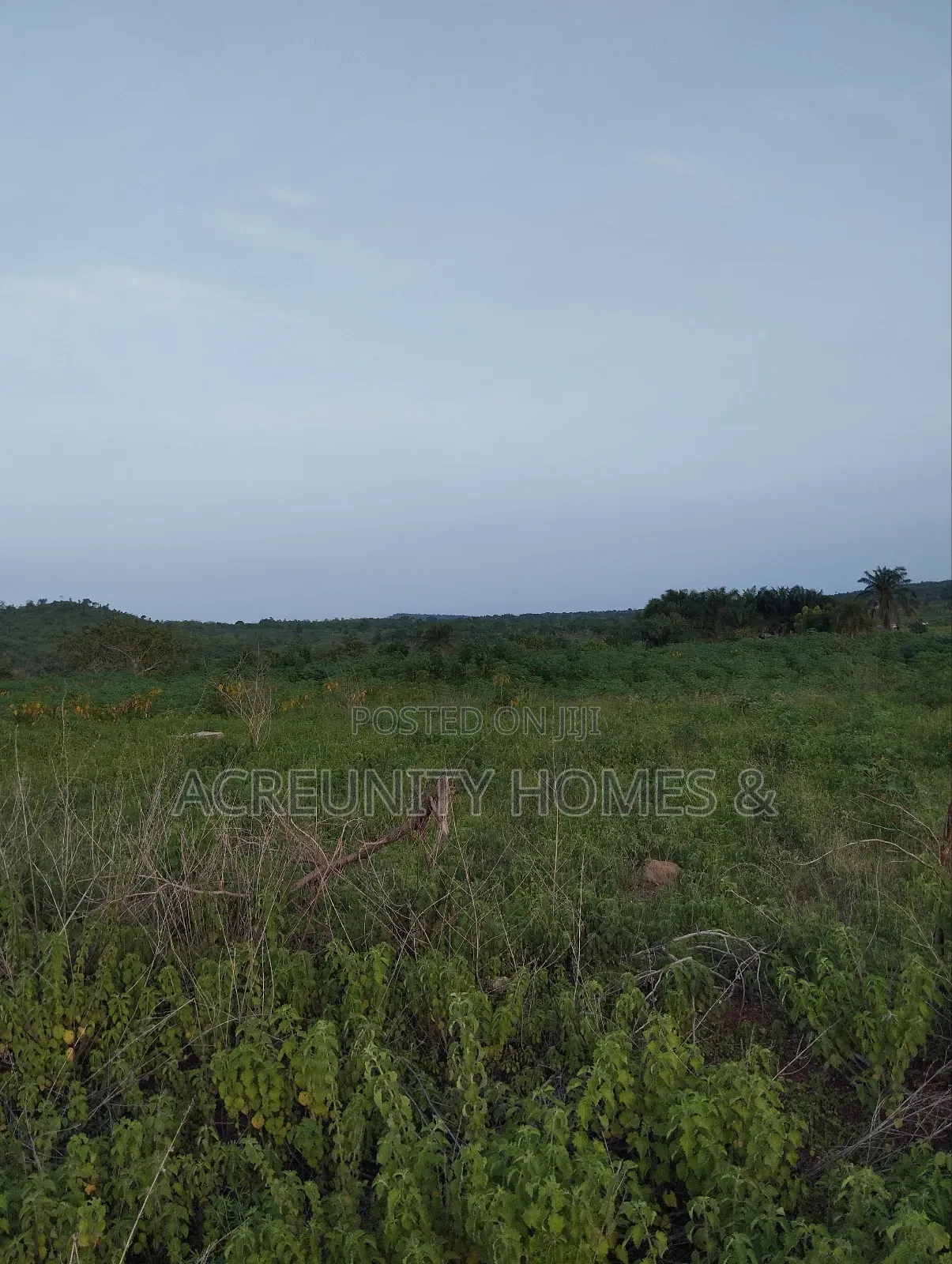 20 Acres of Land Available for Sale, Iseyin-Ogbomoso Express Way