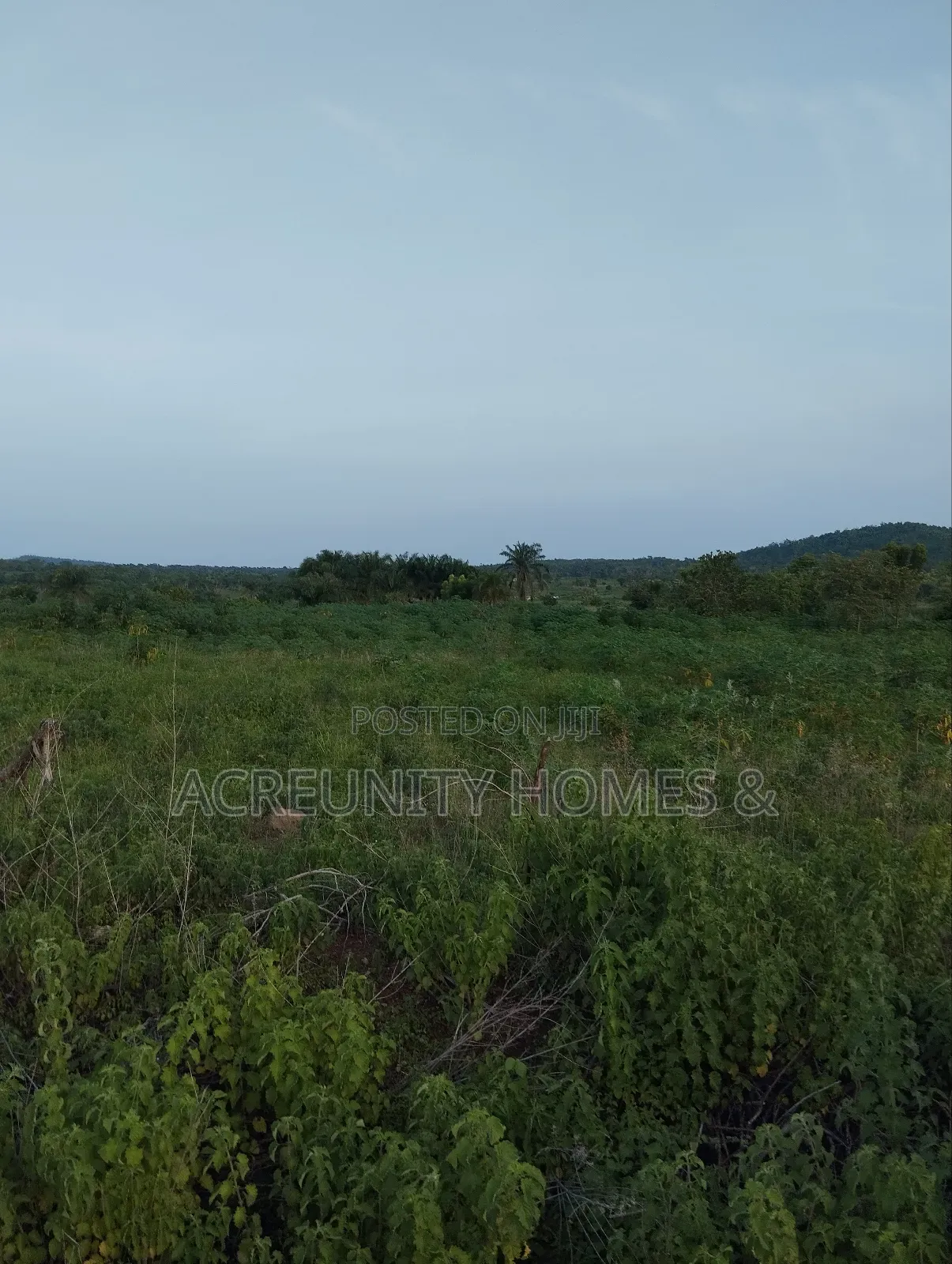 20 Acres of Land Available for Sale, Iseyin-Ogbomoso Express Way