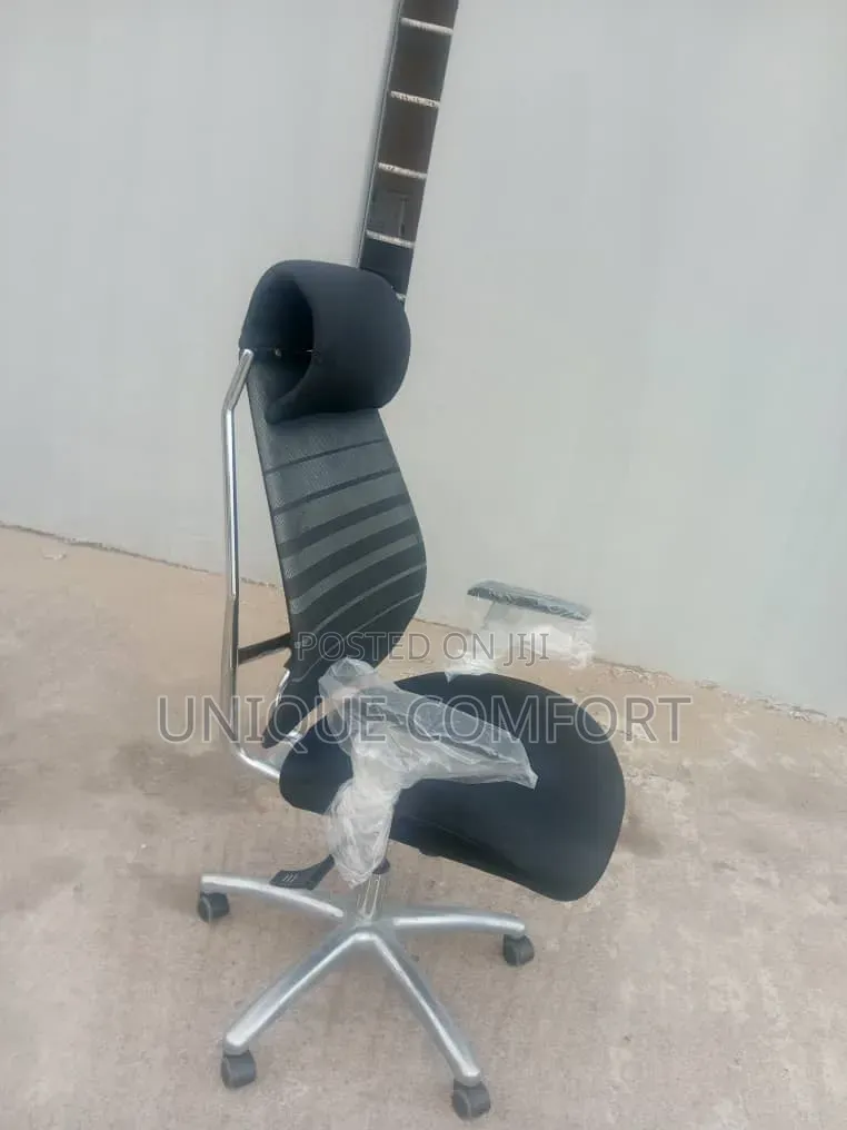 Imported Executive Ergonomic Office Chair With Headrest