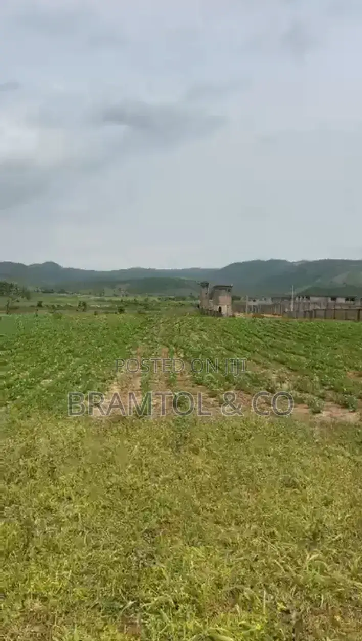 Estate Land for Sell