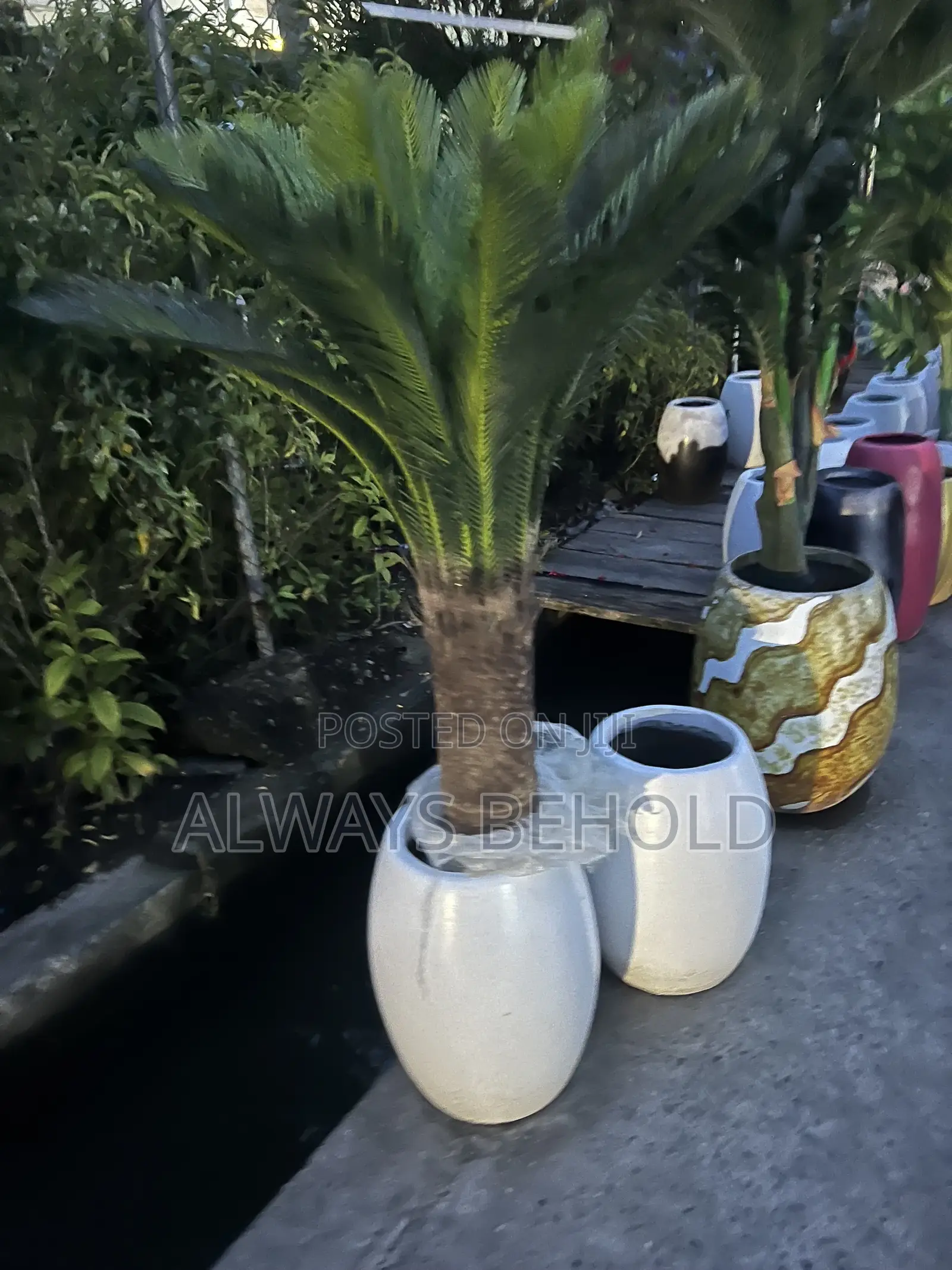 Artificial Cycad Palms
